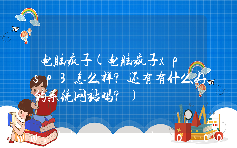 电脑疯子(电脑疯子xp sp3怎么样？还有有什么好的系统网站吗？)